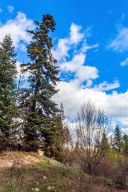 İsrail eyaletinin güzel manzarası.