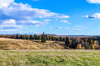 Dağlardaki sonbahar ormanlarının manzarası