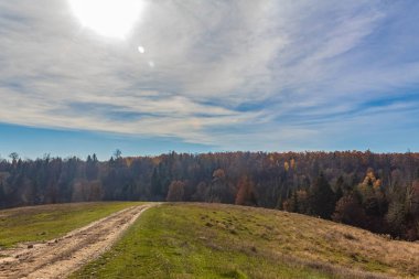 Ağaçlar ve ormanlarla dolu güzel sonbahar manzarası