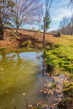 Ağaçlar ve çalılarla çevrili bir parkta gölet.
