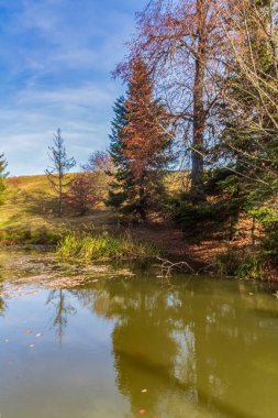 nehir ve ağaçlar ile güzel sonbahar ormanı