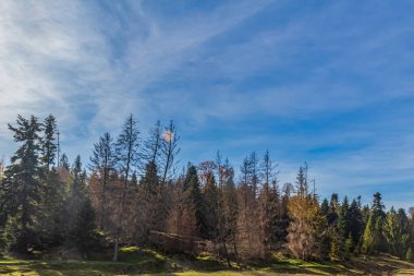 İtalyan dolomitlerinde sonbahar.