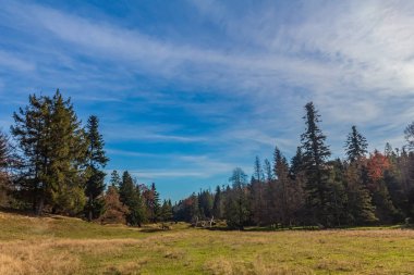 Karpatların dağlarında sonbahar ormanı