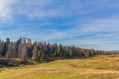Dağ vadisinin sonbahar manzarası