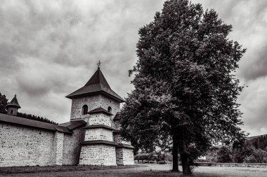 Peyzaj, Orman, Karpatlar, Doğa Fotoğrafları - Avrupa, Doğu Avrupa