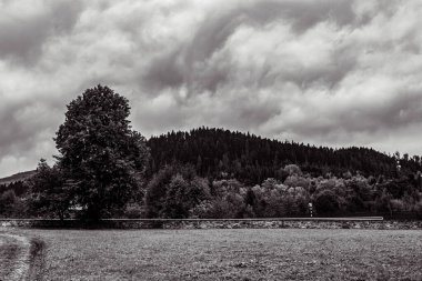 Peyzaj, Orman, Karpatlar, Doğa Fotoğrafları - Avrupa, Doğu Avrupa