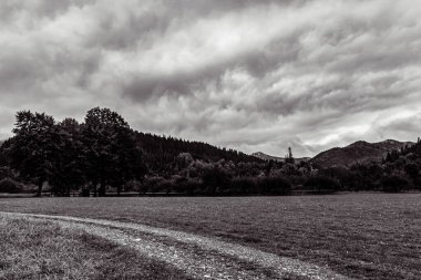 Peyzaj, Orman, Karpatlar, Doğa Fotoğrafları - Avrupa, Doğu Avrupa