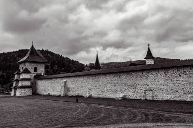 Peyzaj, Orman, Karpatlar, Doğa Fotoğrafları - Avrupa, Doğu Avrupa