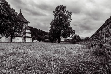 Peyzaj, Orman, Karpatlar, Doğa Fotoğrafları - Avrupa, Doğu Avrupa