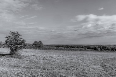 Çimen tarlası olan güzel bir manzaranın siyah beyaz fotoğrafı
