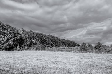 Bulutlu gökyüzü ile güzel bir manzara.