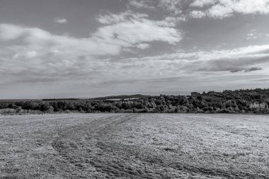 Alman Muensterland 'inde manzara