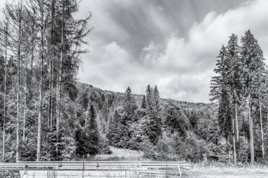 Dağların güzel manzarası