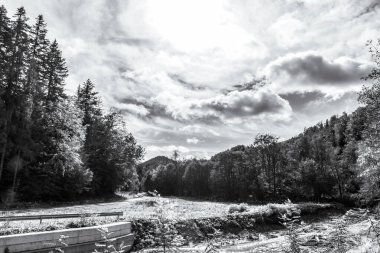 Yazın bir dağ nehrinin güzel manzarası