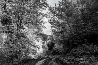 Bir dağ manzarasının güzel siyah beyaz fotoğrafı