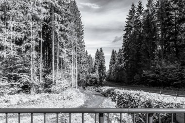 Tahta bir köprünün siyah beyaz fotoğrafı