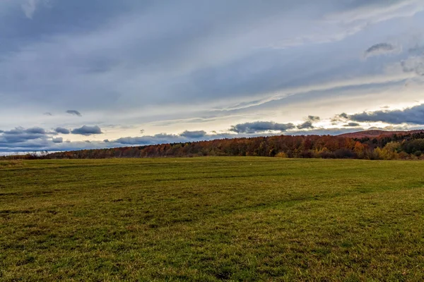 Renkli ağaçlarla dolu güzel sonbahar manzarası