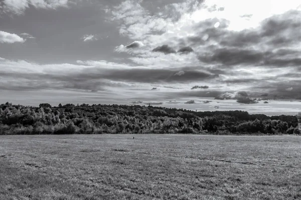 Tarlada ağaçlar olan manzara