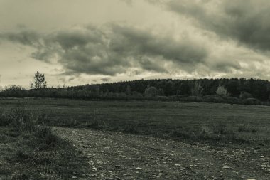 Güzel manzara. doğa arkaplanı
