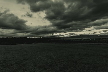 Ağaçlı ve bulutlu arkaplanı olan bir alanın karanlık ölçekli görüntüsü