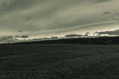 Ağaçlarla dolu bir tarlası ve bulutlu gökyüzü olan güzel bir yaz manzarası.