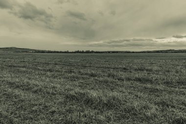 Siyah ve beyaz bulutların manzarası ufuk çizgisi ve uzak bir alan..