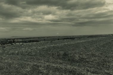 Ağaçlarla dolu bir tarlası ve bulutlu bir gökyüzü olan güzel bir manzara.