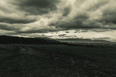 Peyzaj, Orman, Karpatlar, Doğa Fotoğrafları - Avrupa, Doğu Avrupa