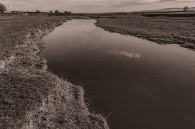 Arka planda ağaçlar ve bitkilerle çevrili küçük bir ırmağın gri tonlu görüntüsü.
