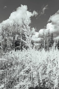 Dağların güzel manzarası