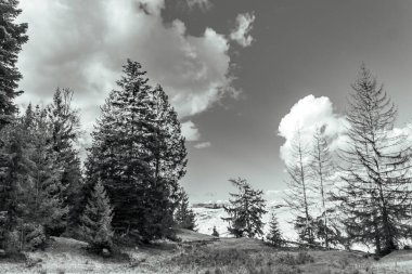 bir dağ manzarasının siyah beyaz resmi