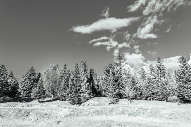 Karla kaplı dağlarla kaplı güzel bir manzara.