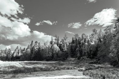 Arka planda bir ağaç ve göl olan güzel bir manzara.