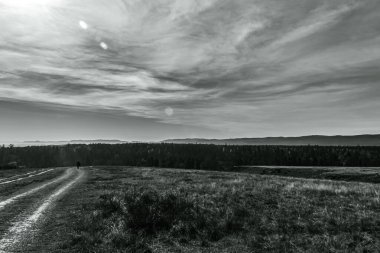 Yol ve orman ufukta dağlarda.