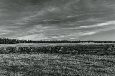 Peyzaj, Orman, Karpatlar, Doğa Fotoğrafları - Avrupa, Doğu Avrupa
