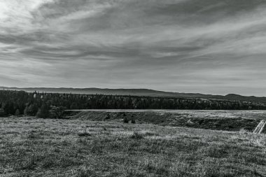 Ağacı ve dağı olan güzel bir manzara.
