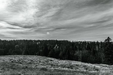 Peyzaj, Orman, Karpatlar, Doğa Fotoğrafları - Avrupa, Doğu Avrupa