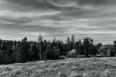 Bulutlu bir gökyüzü ile bir dağın dikey görüntüsü