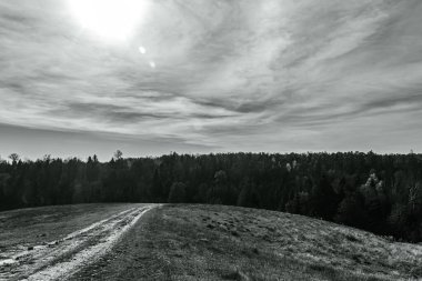 Peyzaj, Orman, Karpatlar, Doğa Fotoğrafları - Avrupa, Doğu Avrupa