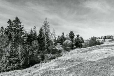 Dağların güzel manzarası