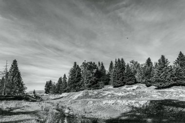 Peyzaj, Orman, Karpatlar, Doğa Fotoğrafları - Avrupa, Doğu Avrupa