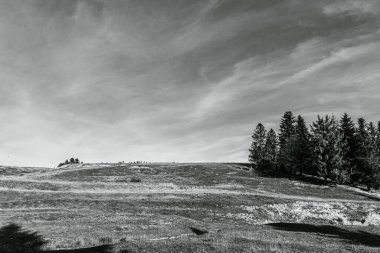 Doğal manzaranın güzel manzarası