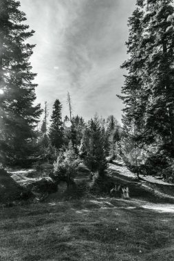 Güzel doğa manzarasının resimli görüntüsü