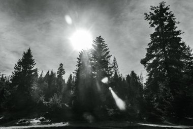 Dağların güzel manzarası