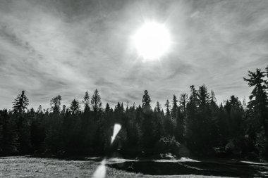 Siyah beyaz kar resmi - kışın tepeli dağlar.