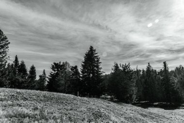 Dağların siyah beyaz görüntüsü