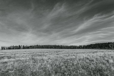 Yeşil alan üzerinde siyah beyaz bulutlar