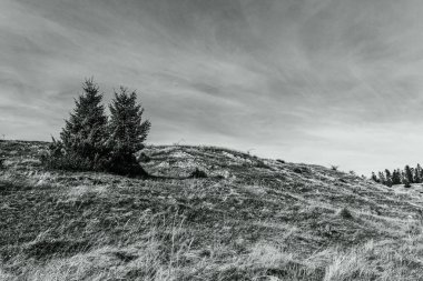 Karpat Dağlarının siyah ve beyaz manzarası