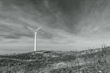 siyah ve beyaz rüzgar türbinleri