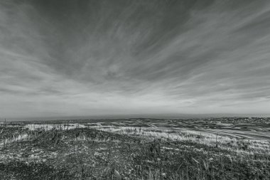 Baltık Denizi kıyısında